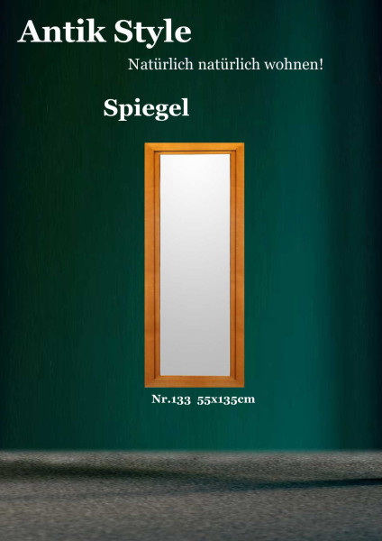 133 Spiegel 55x135cm